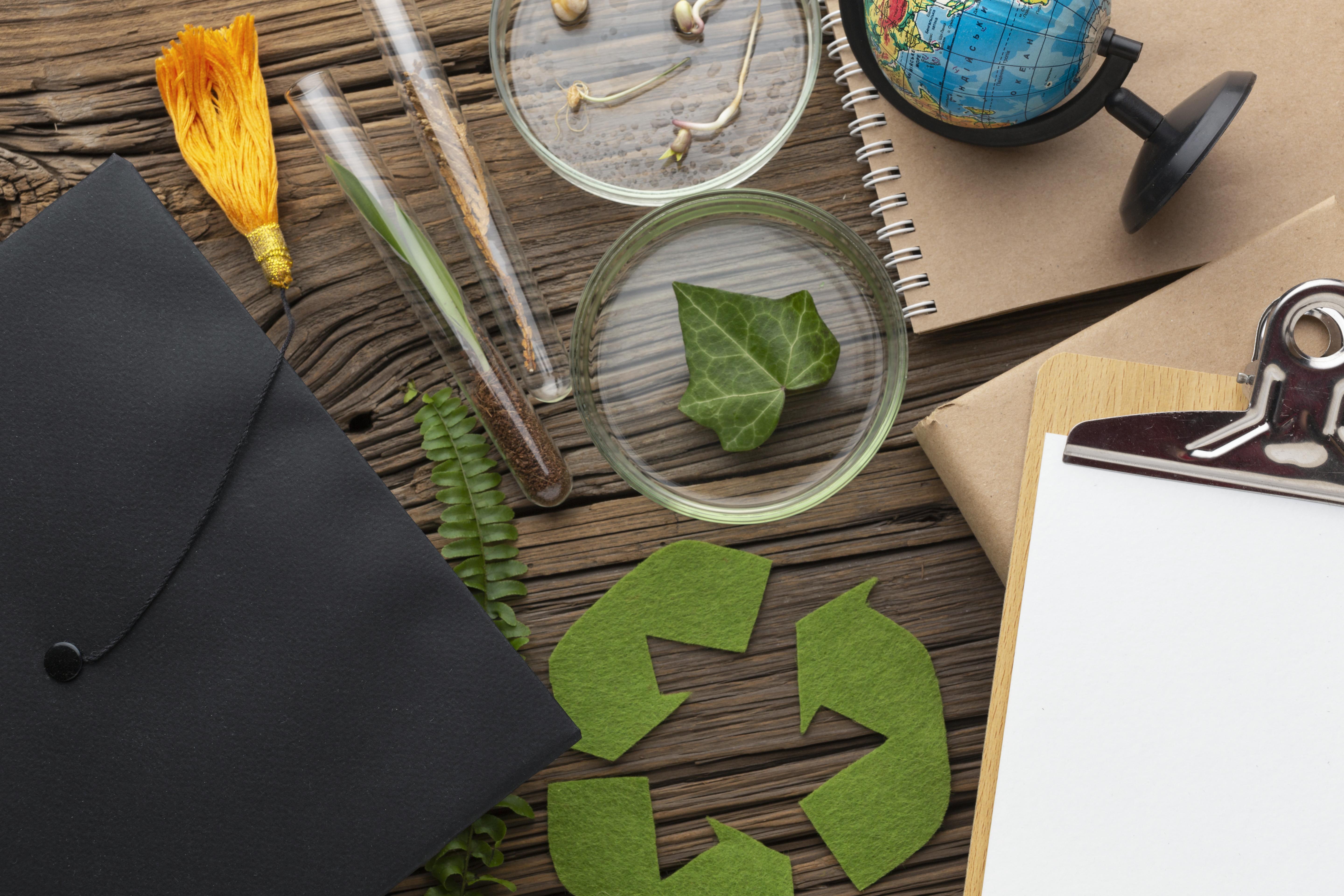 top-view-plants-and-study-items
